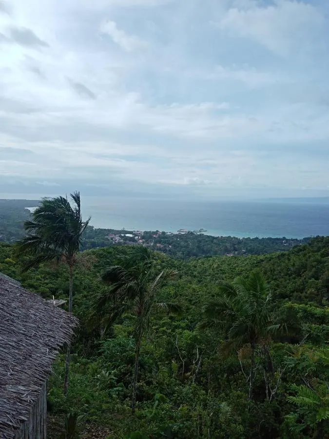 Jungle down to the sea